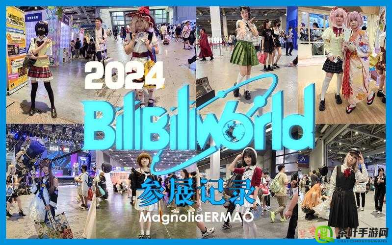 免费B站推广网站入口2024：开启全新的视频体验之旅