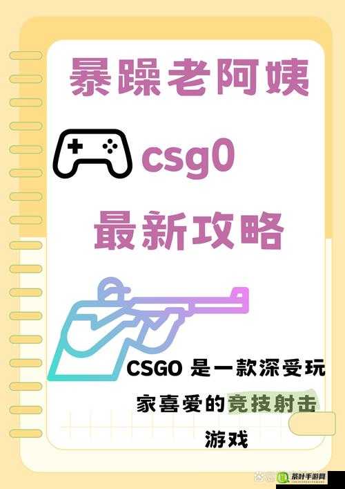 暴躁老阿姨 CSGO 热门英雄之精彩游戏解读