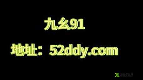 九·幺破解版相关资源及详细解读