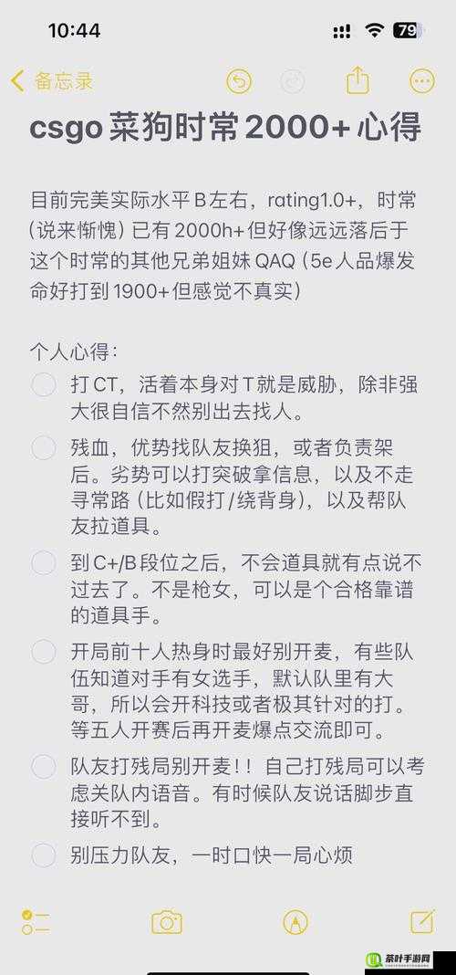 暴躁老阿姨 csgo 攻略大全：教你成为游戏大神